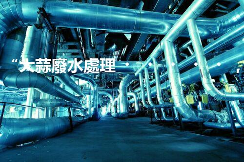 “大蒜廢水處理，綠色環(huán)保新篇章”